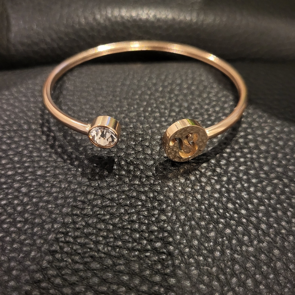 Stainless Steel Leo Bangle with Clear Crystal - Picture 5 of 7